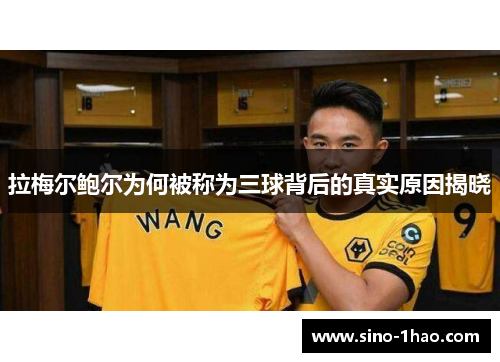 拉梅尔鲍尔为何被称为三球背后的真实原因揭晓