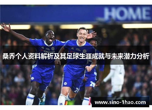 桑乔个人资料解析及其足球生涯成就与未来潜力分析