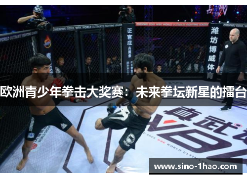 欧洲青少年拳击大奖赛：未来拳坛新星的擂台
