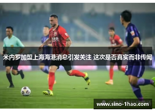 米内罗加盟上海海港消息引发关注 这次是否真实而非传闻