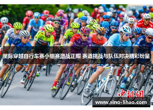 星际穿越自行车赛小组赛激战正酣 赛道挑战与队伍对决精彩纷呈